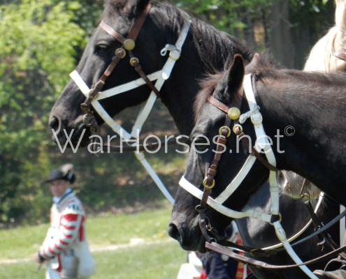 Chalk & Awe - Revolutionary War Horses Chalk & Awe - Revolutionary War Horses