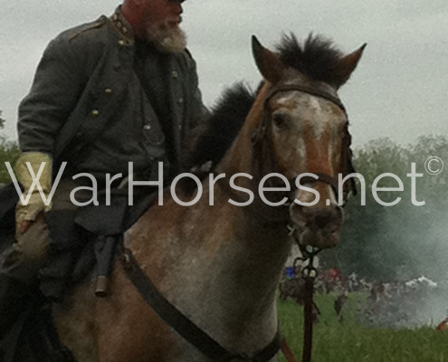 Surviving Chancellorsvillewm