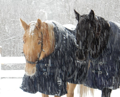 Behind - Blizzards of 2015