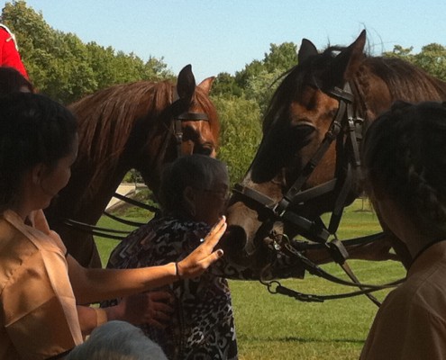 Behind-Nursing-Homes