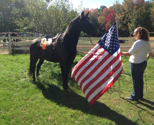 Behind the Scenes - Flag Training