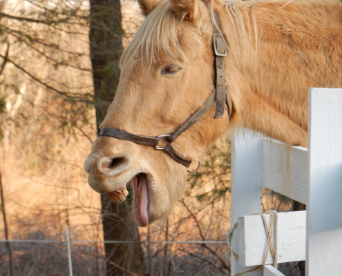 Behind the Scenes Jack-01